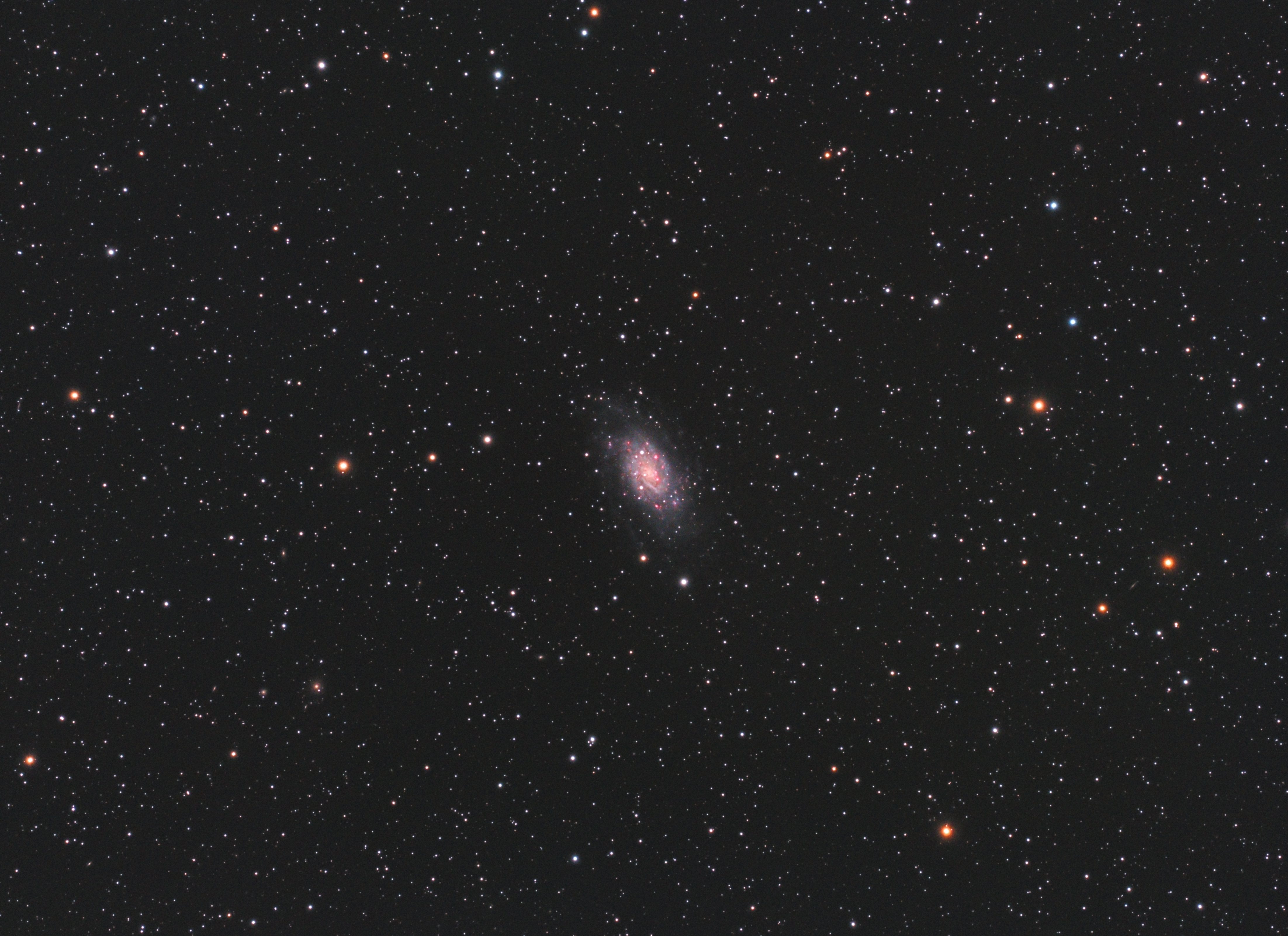 NGC 2403