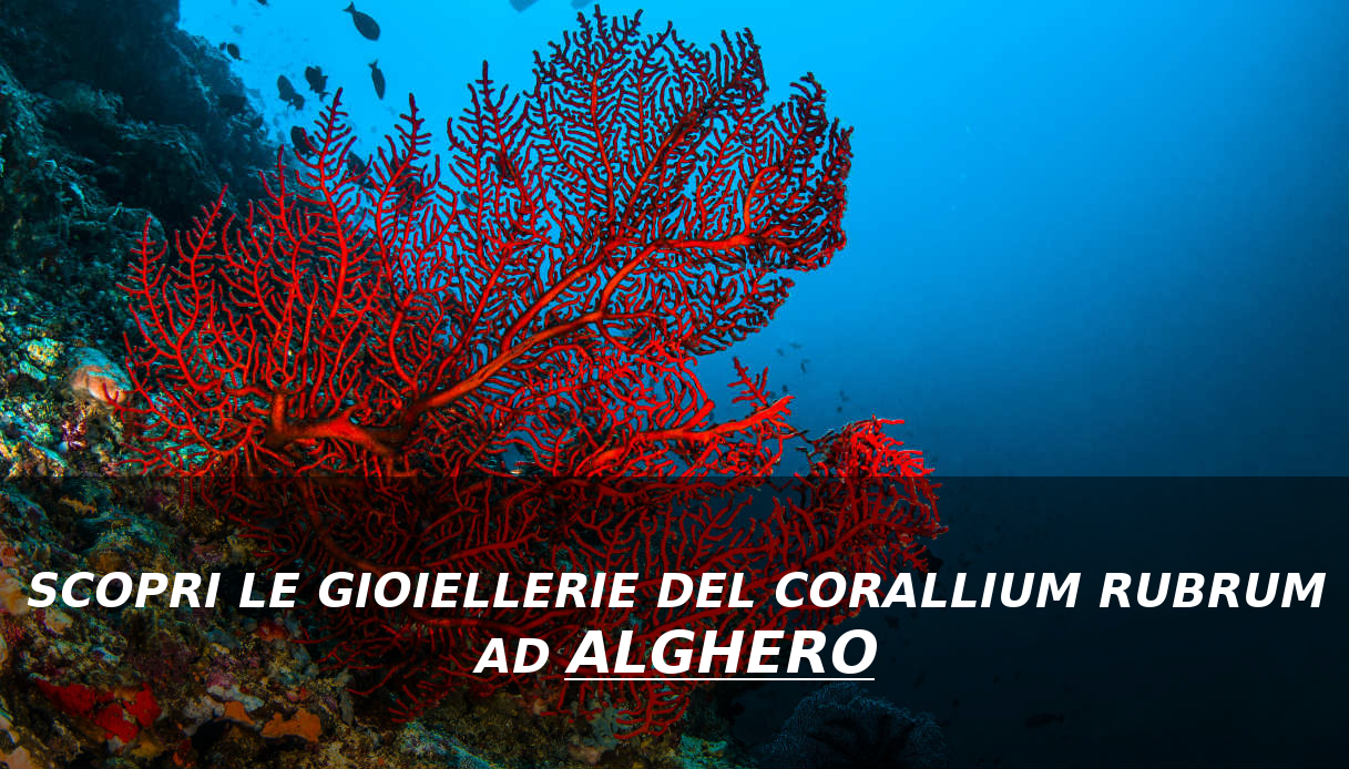 Scopri le Gioiellerie del Corallium Rubrum ad Alghero