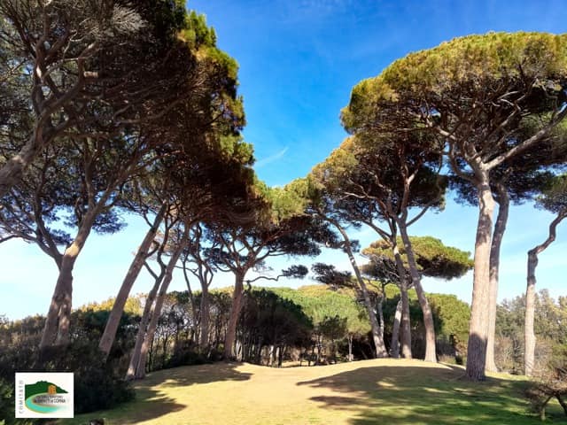 Le Pinete Litoranee
