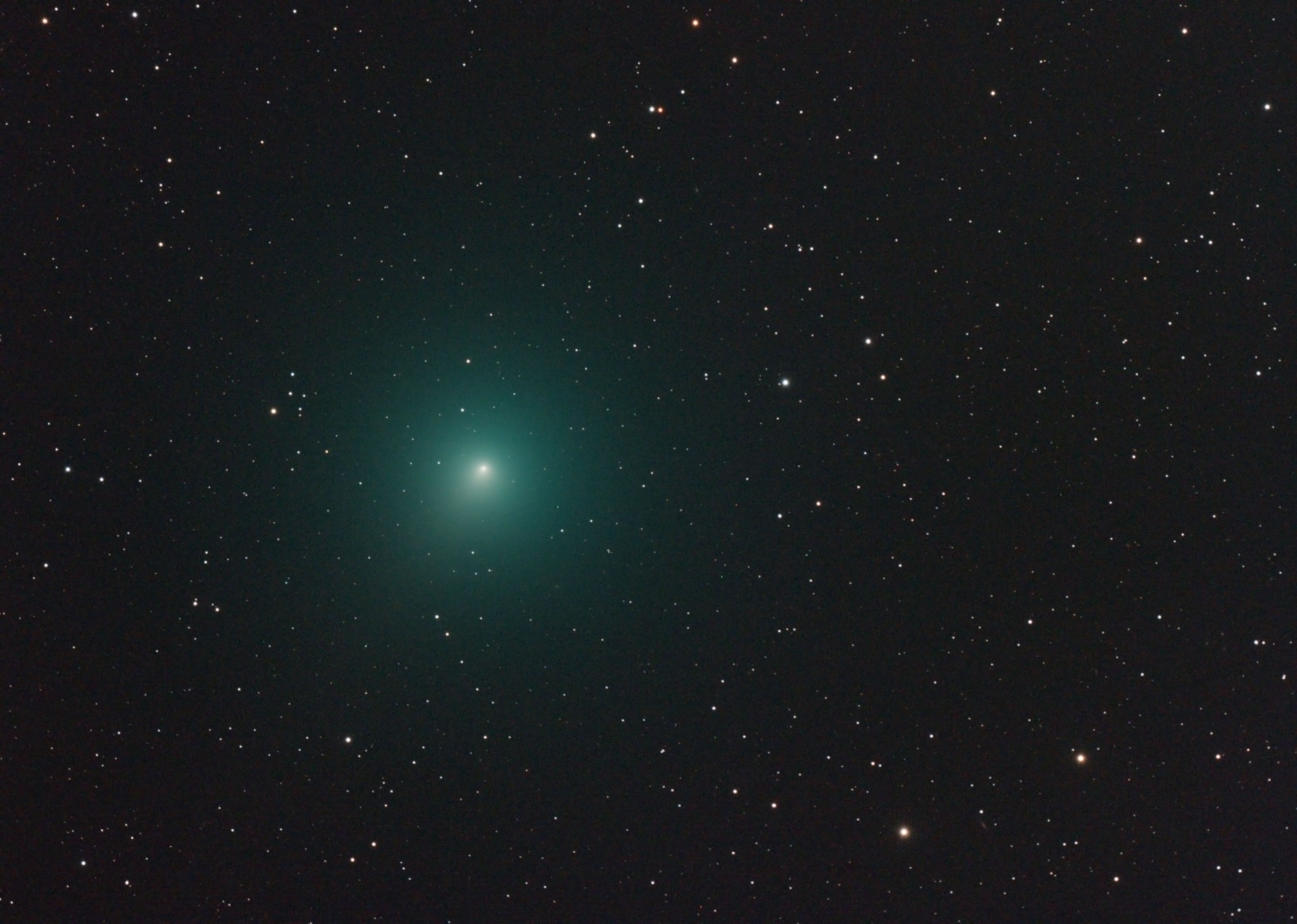 Cometa di Natale (46P/Wirtanen)